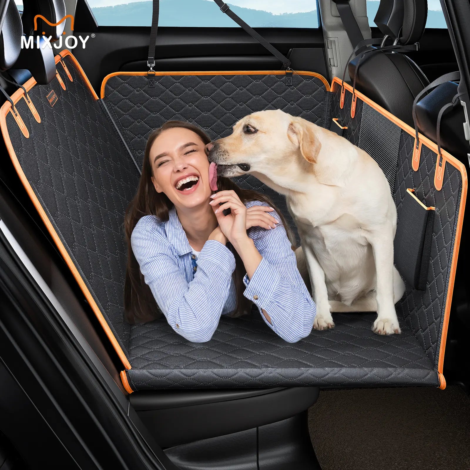 Back Seat Extender for Dogs, Foldable Dog Hammock for Car Travel Accessories Camping Mattress Bed