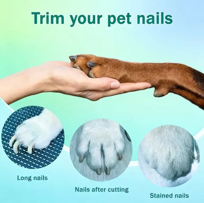 Pet Nail Grinder and Trimmer Kit for Dogs and Cats, Rechargeable and Ultra Quiet, Suitable for Small and Large Breeds, 4-Hour Battery Life