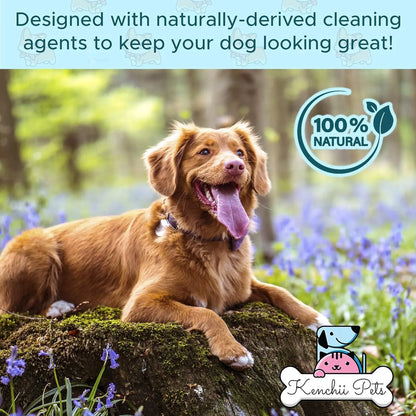 Professional Pet Grooming Spray for Puppies and Dogs | All-Natural Scented Moisturizing Dog Detangler Spray | Puppy Conditioner Coat Shine Spray | Dog Grooming Supplies