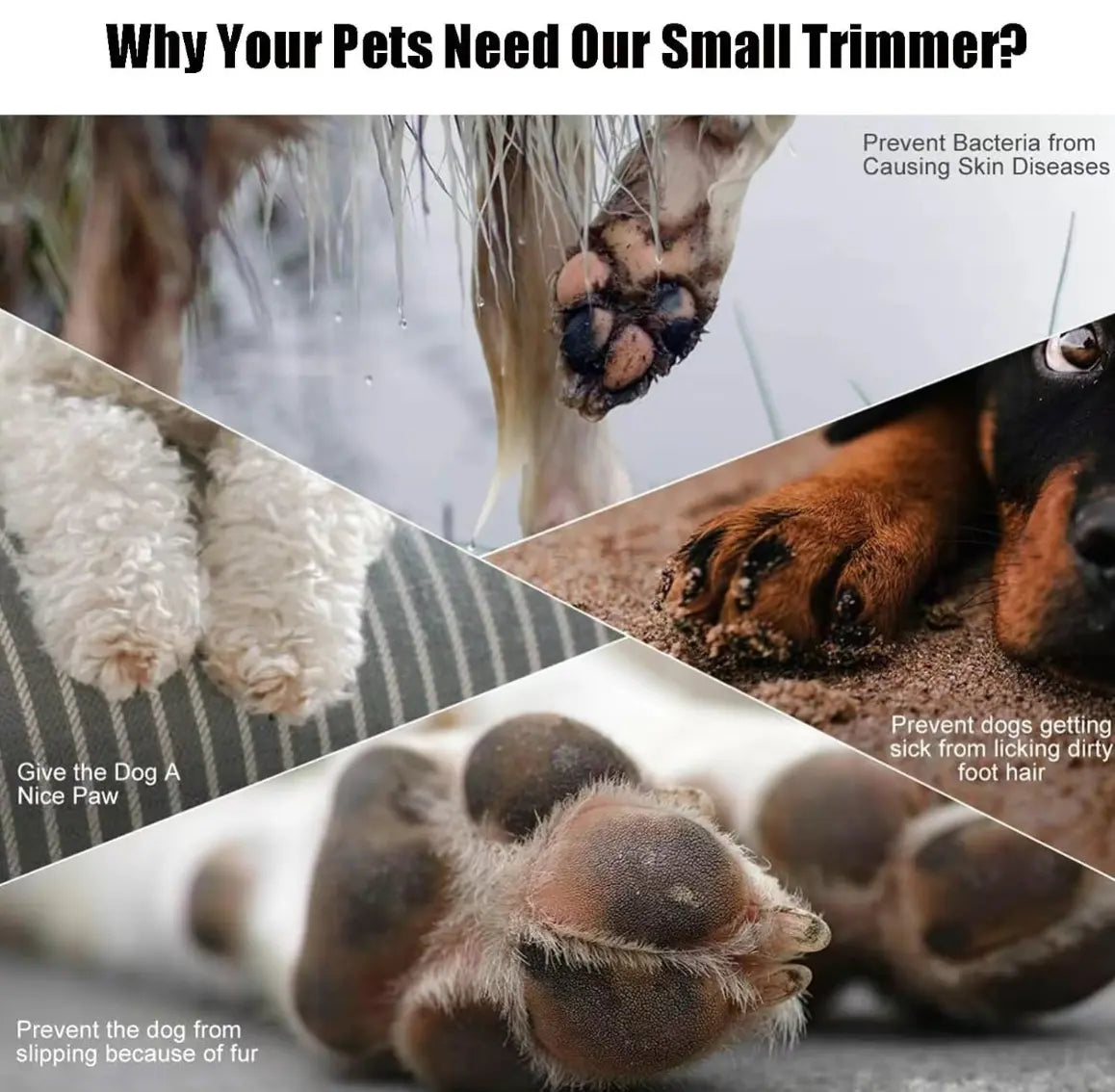 Pet Trimmer for Dogs and Cats Waterproof Shaver with LED Light 18Mm Widen Blade Multifunctional Clippers for Paws Eyes Ears Face Rump USB Rechargeable Grooming Accessories, Summervibes, Petlovers